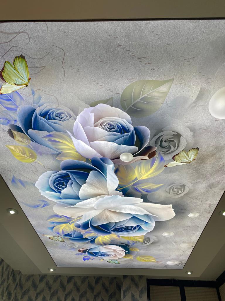 3 Boyutlu Gergi Tavan Modelleri